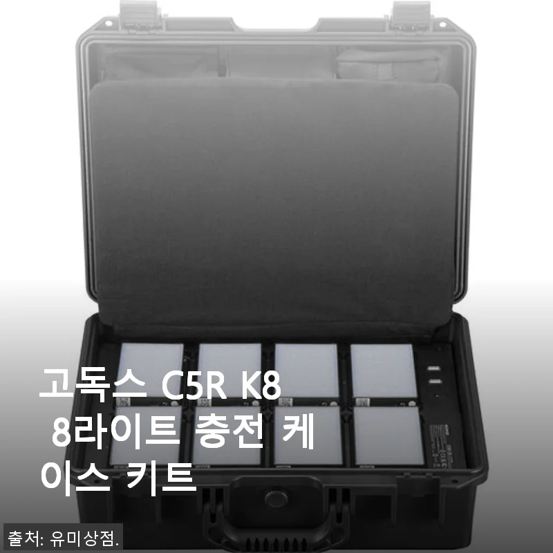 고독스 C5R K8 8라이트 충전 케이스 키트 사용후기와 상세 소개