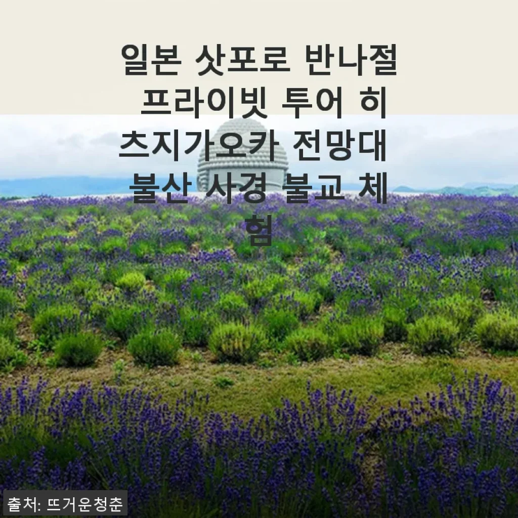 일본 삿포로 반나절 프라이빗 투어 히츠지가오카 전망대 및 불산 사경 체험 후기