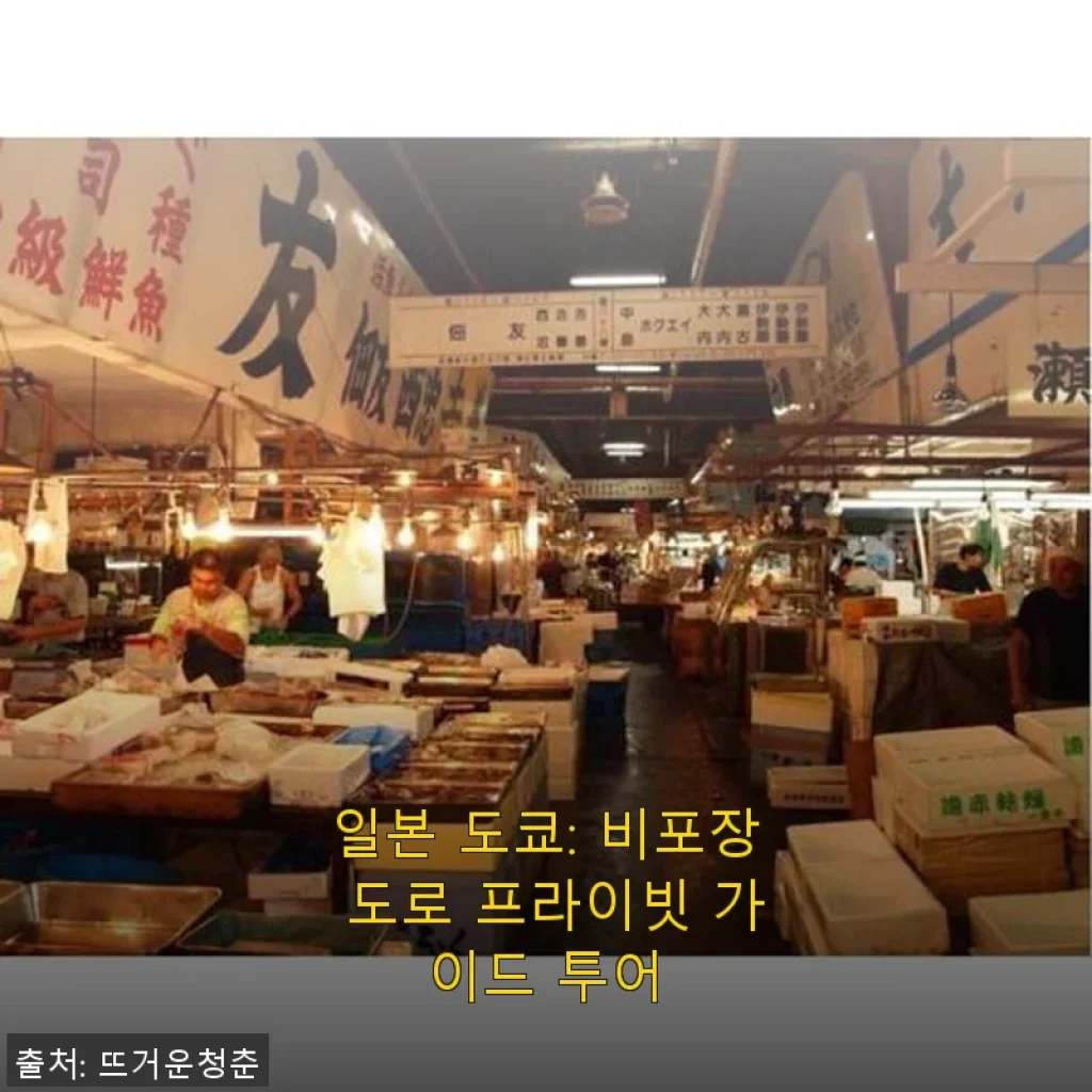 일본 도쿄 비포장 도로 프라이빗 가이드 투어 사용후기