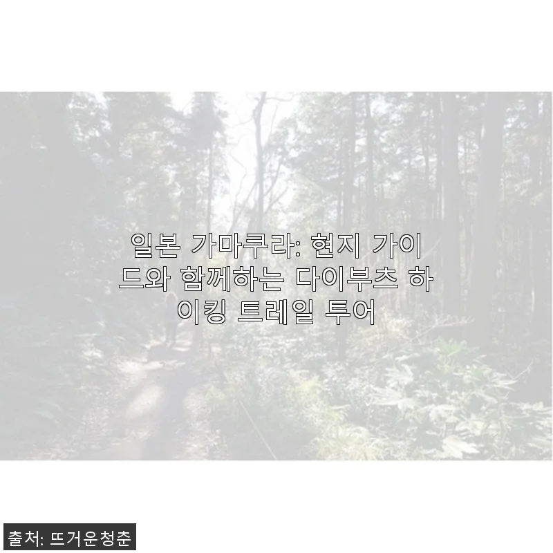 일본 가마쿠라 다이부츠 하이킹 트레일 투어 사용 후기: 현지 가이드와 함께한 특별한 경험