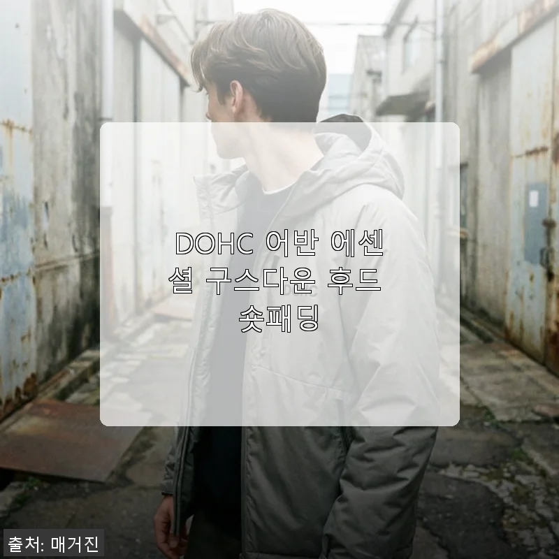 DOHC 어반 에센셜 구스다운 후드 숏패딩 사용 후기