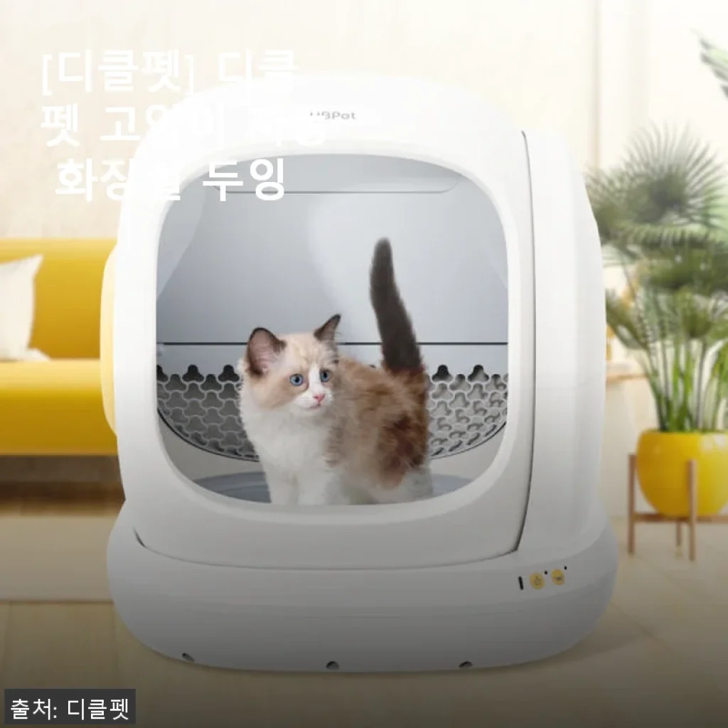 디클펫 고양이 자동 화장실 두잉 사용 후기와 추천