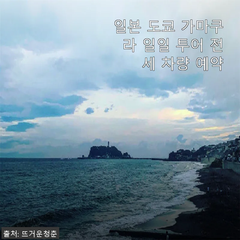 일본 도쿄 가마쿠라 일일 투어 전세 차량 예약 사용후기