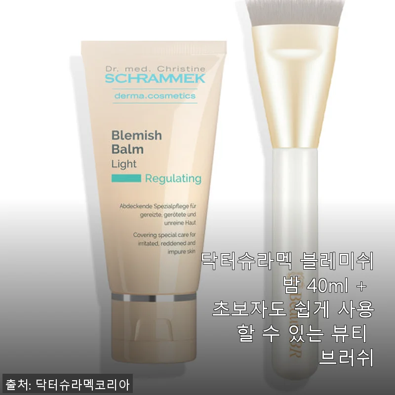 닥터슈라멕 블레미쉬 밤 40ml와 뷰티 브러쉬 사용후기
