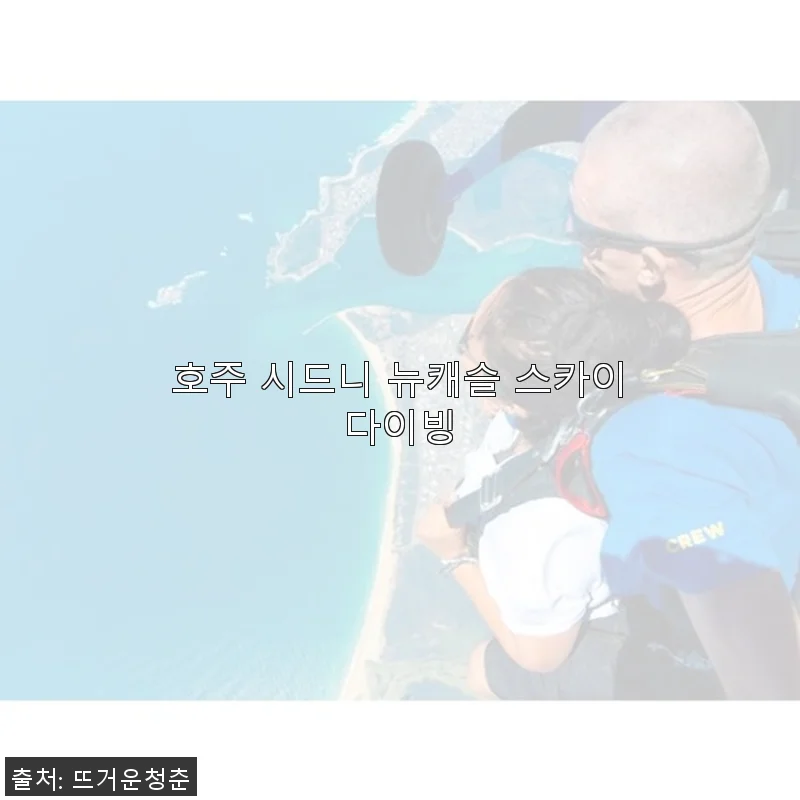 호주 시드니 뉴캐슬 스카이다이빙 사용후기 및 구매가이드