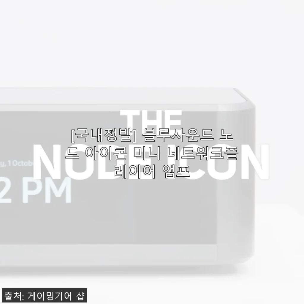 블루사운드 노드 아이콘 미니 네트워크플레이어 앰프 사용후기