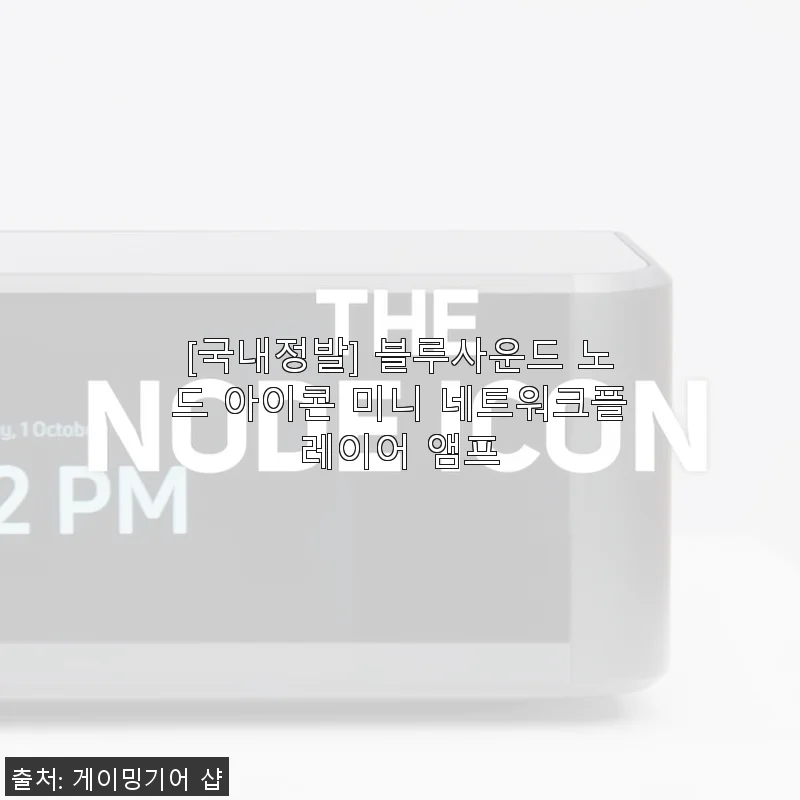 블루사운드 노드 아이콘 미니 네트워크플레이어 앰프 사용후기