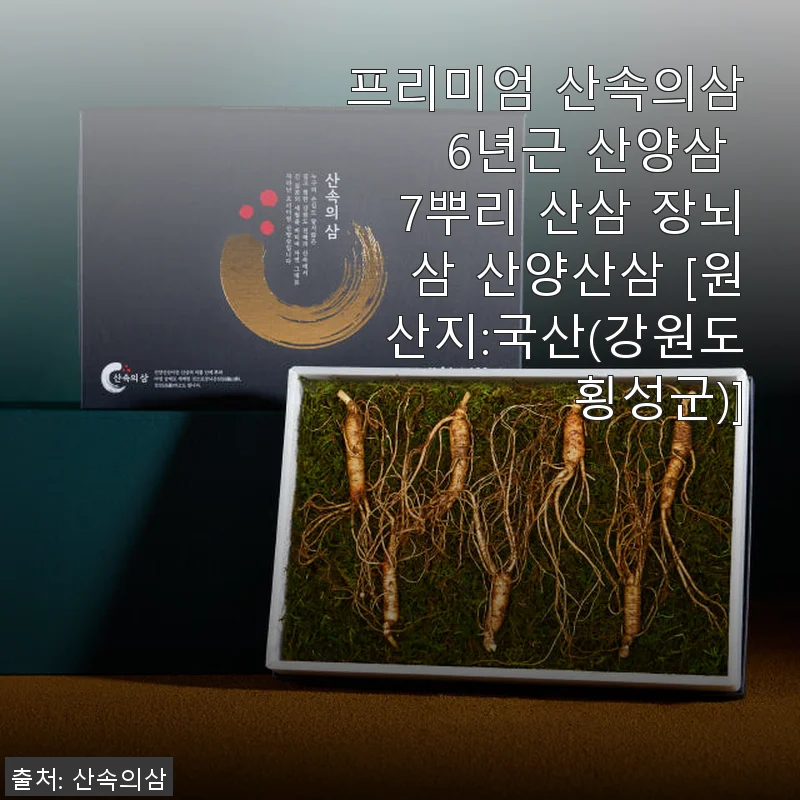 프리미엄 산속의삼 6년근 산양삼 7뿌리 사용후기와 구매 가이드