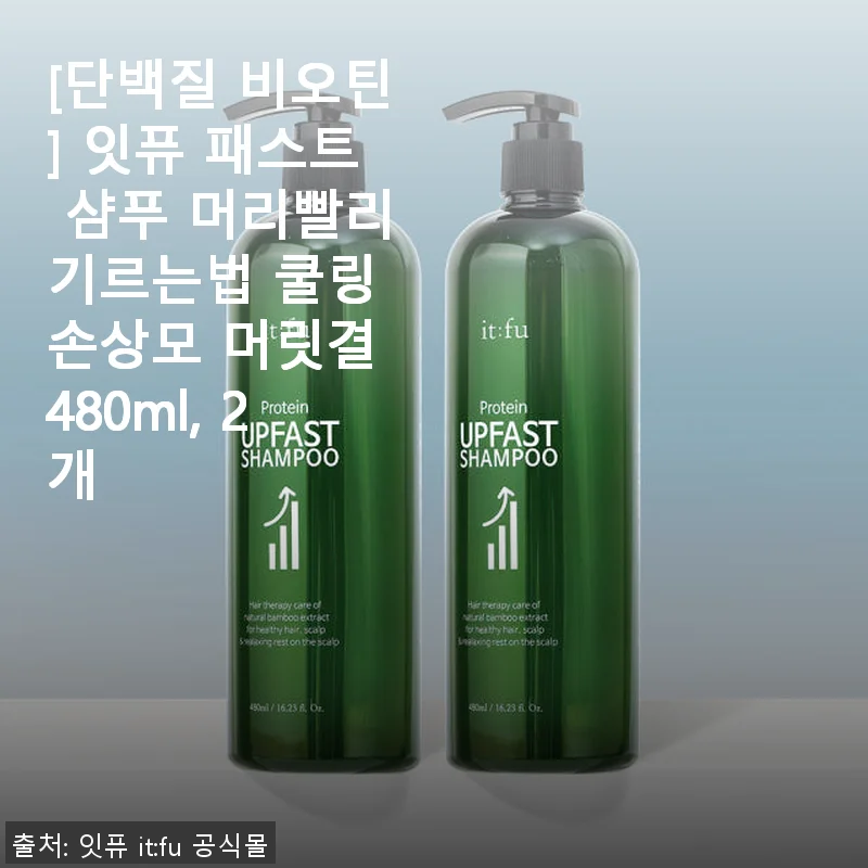 잇퓨 패스트 샴푸 480ml 2개 사용 후기 – 머릿결 관리와 두피 쿨링 효과를 직접 경험하다
