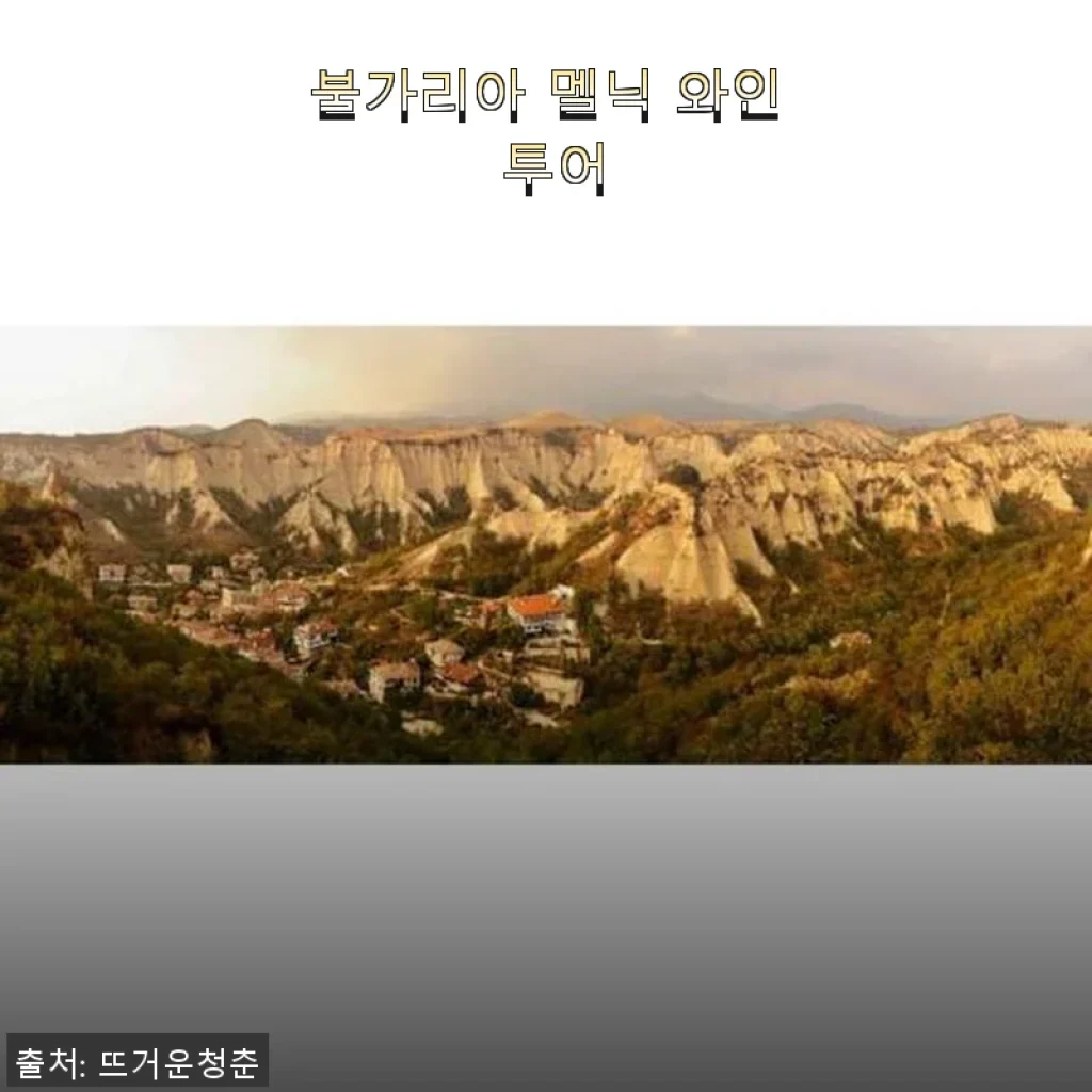 불가리아 멜닉 와인 투어 사용후기: 직접 경험한 특별한 와인 여행