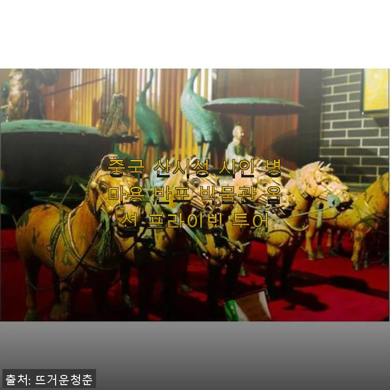 중국 산시성 시안 병마용 반포 박물관 프라이빗 투어 사용후기