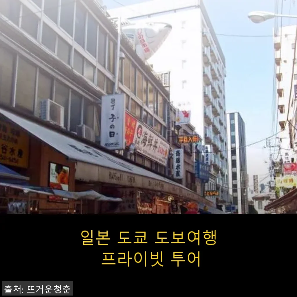 일본 도쿄 도보여행 프라이빗 투어, 직접 체험한 만족스러운 하루