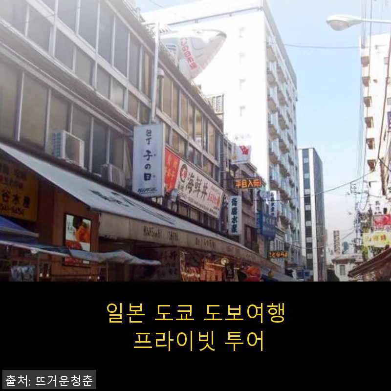 일본 도쿄 도보여행 프라이빗 투어, 직접 체험한 만족스러운 하루