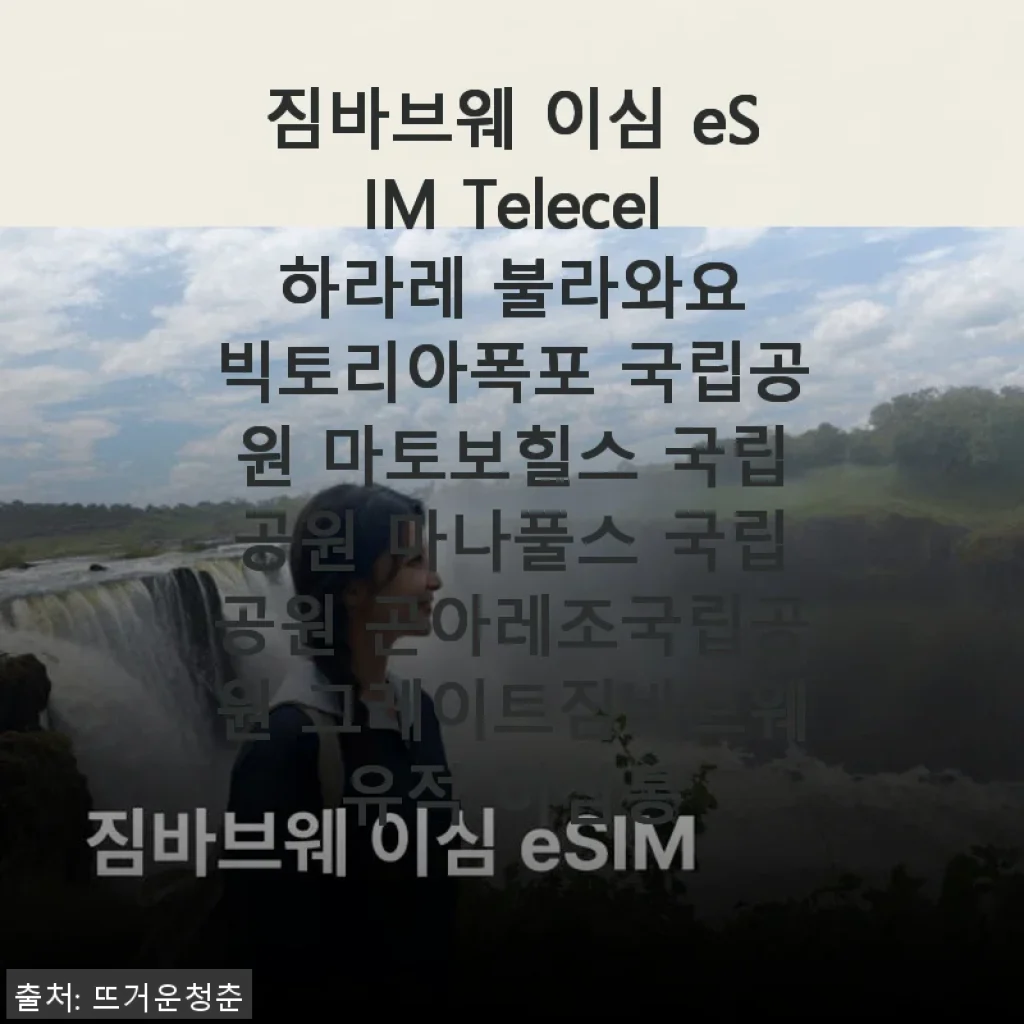 짐바브웨 이심 eSIM Telecel 사용후기: 현지에서 편리한 통신 경험