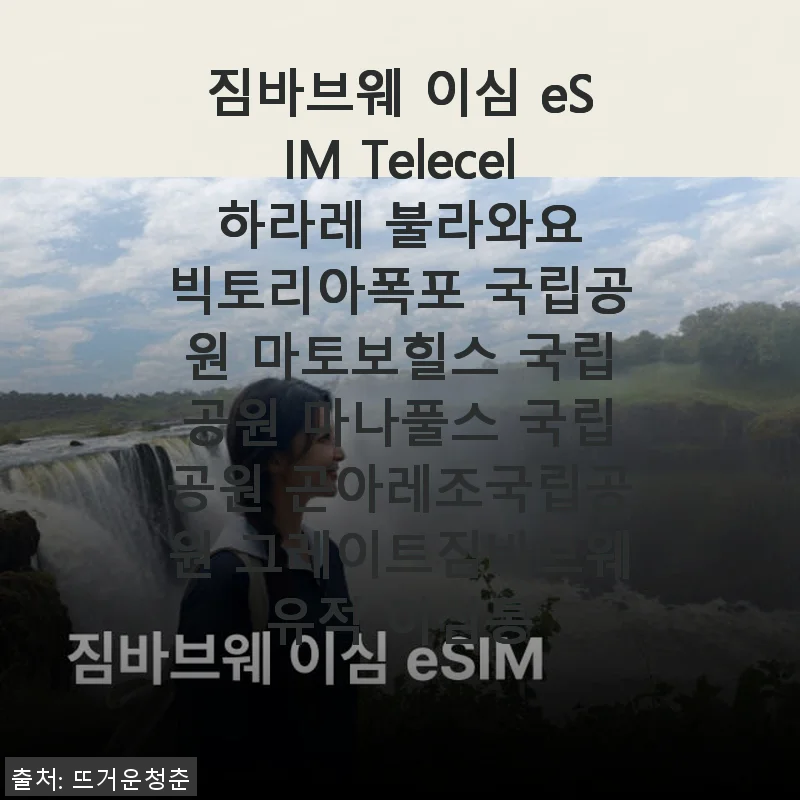 짐바브웨 이심 eSIM Telecel 사용후기: 현지에서 편리한 통신 경험
