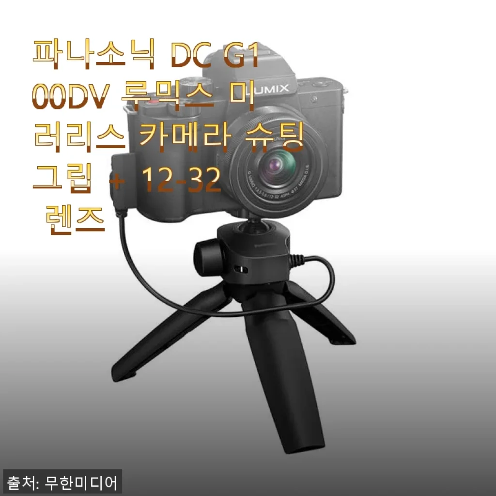 파나소닉 DC G100DV 루믹스 미러리스 카메라 슈팅그립 + 12-32 렌즈 사용후기