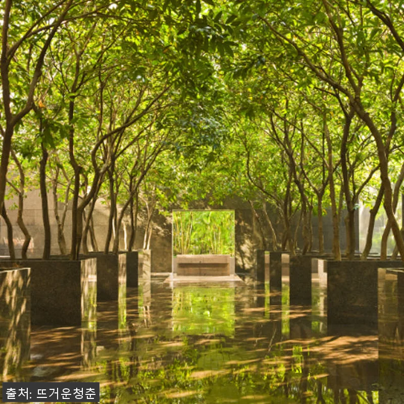 홍콩 그랜드 하얏트 홍콩 스파 & 마 관련 이미지 1