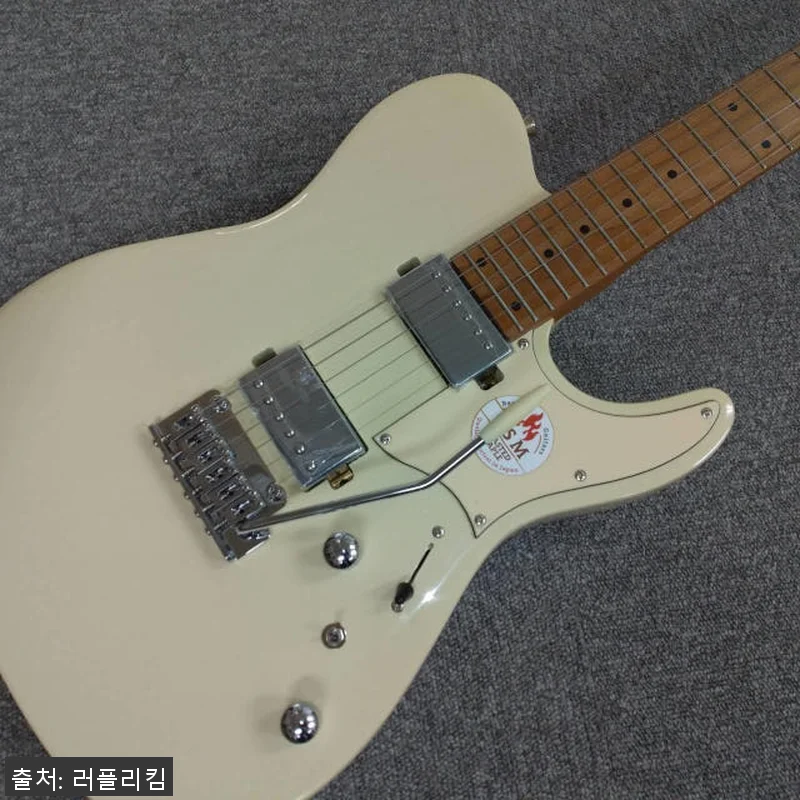 바커스 일렉트릭 기타 TAC24 Ba 관련 이미지 1