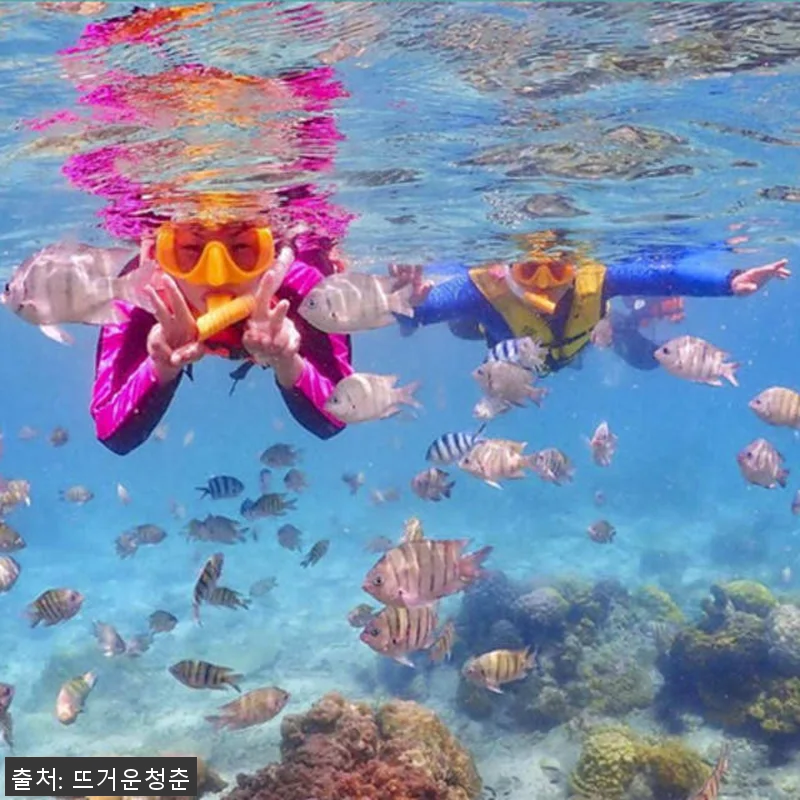 태국 파타야 니모섬 프라이빗 데이 투 관련 이미지 1