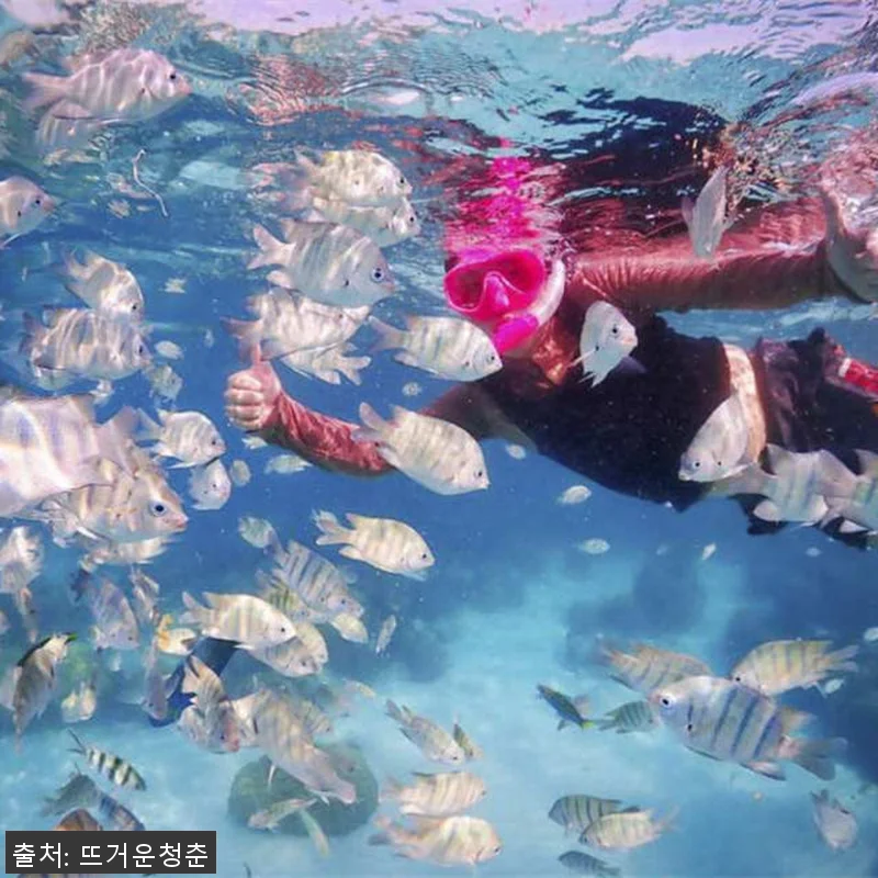 태국 파타야 니모섬 스노클링 프라이빗 관련 이미지 1