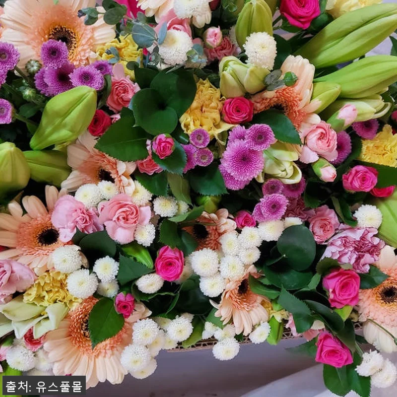 유스풀몰 생화 공동구매로 만난 신선한 관련 이미지 1