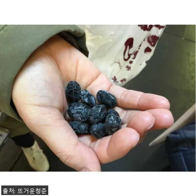 일본 교토 니시키 시장 3시간 음식 관련 이미지 1