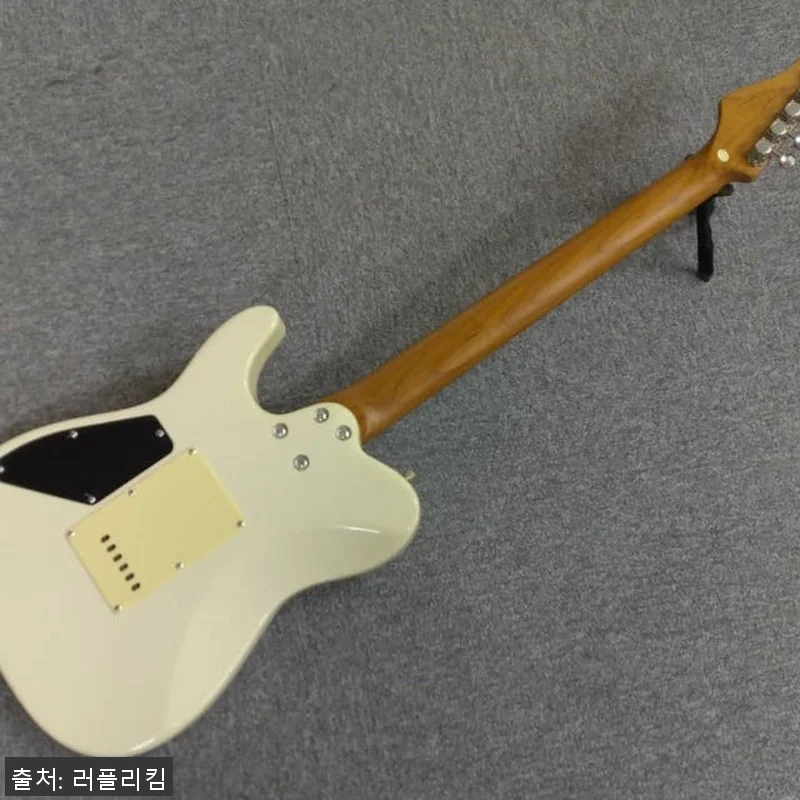 바커스 일렉트릭 기타 TAC24 Ba 관련 이미지 2