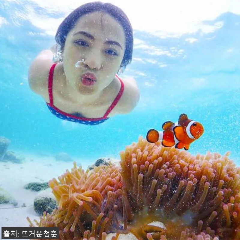 태국 파타야 니모섬 스노클링 프라이빗 관련 이미지 2