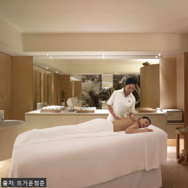 홍콩 그랜드 하얏트 홍콩 스파 & 마 관련 이미지 3