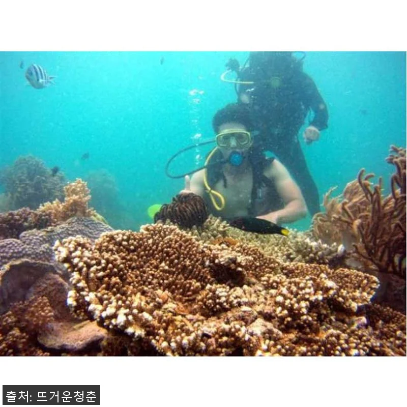 베트남 나트랑 하이라이트 3일 여행, 관련 이미지 3