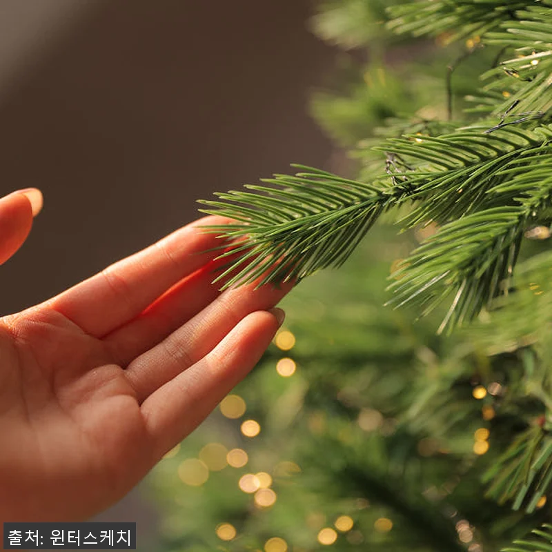 윈터스케치 크리스마스 대형 PE 전나 관련 이미지 4