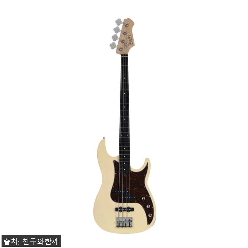 헥스 RB100 입문용 베이스기타 사 관련 이미지 5