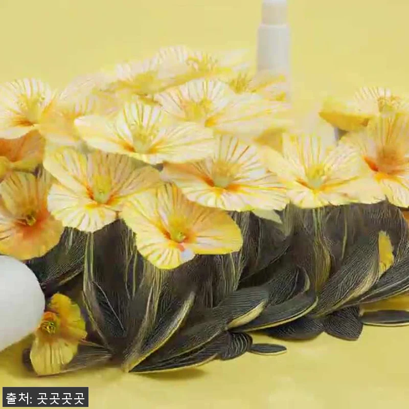 촉촉쪽쪽 보습 립밤 3.4g 5개 세 관련 이미지 10