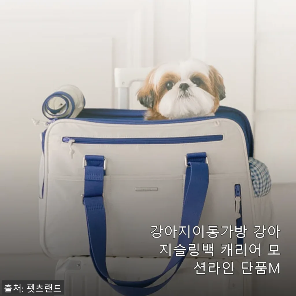 강아지이동가방 강아지슬링백 캐리어 모션라인 단품M 사용후기