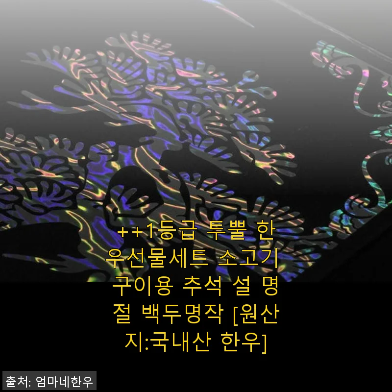 1등급 투뿔 한우선물세트 백두명작 사용후기 – 가족과 함께한 특별한 소고기 구이 경험