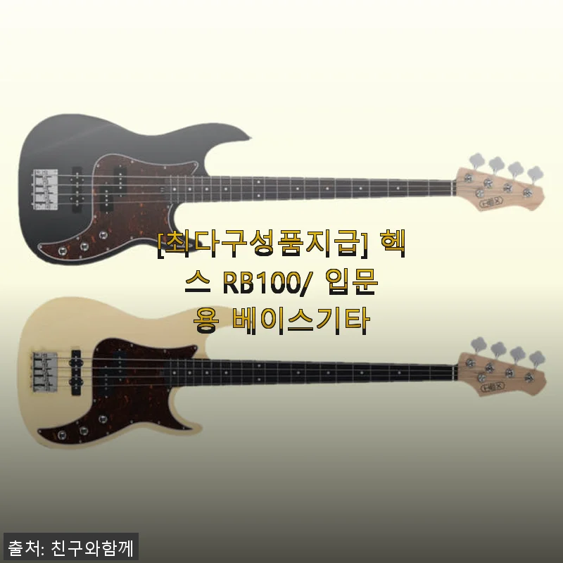 헥스 RB100 입문용 베이스기타 사용후기 – 첫 베이스 연주에 딱 맞는 선택