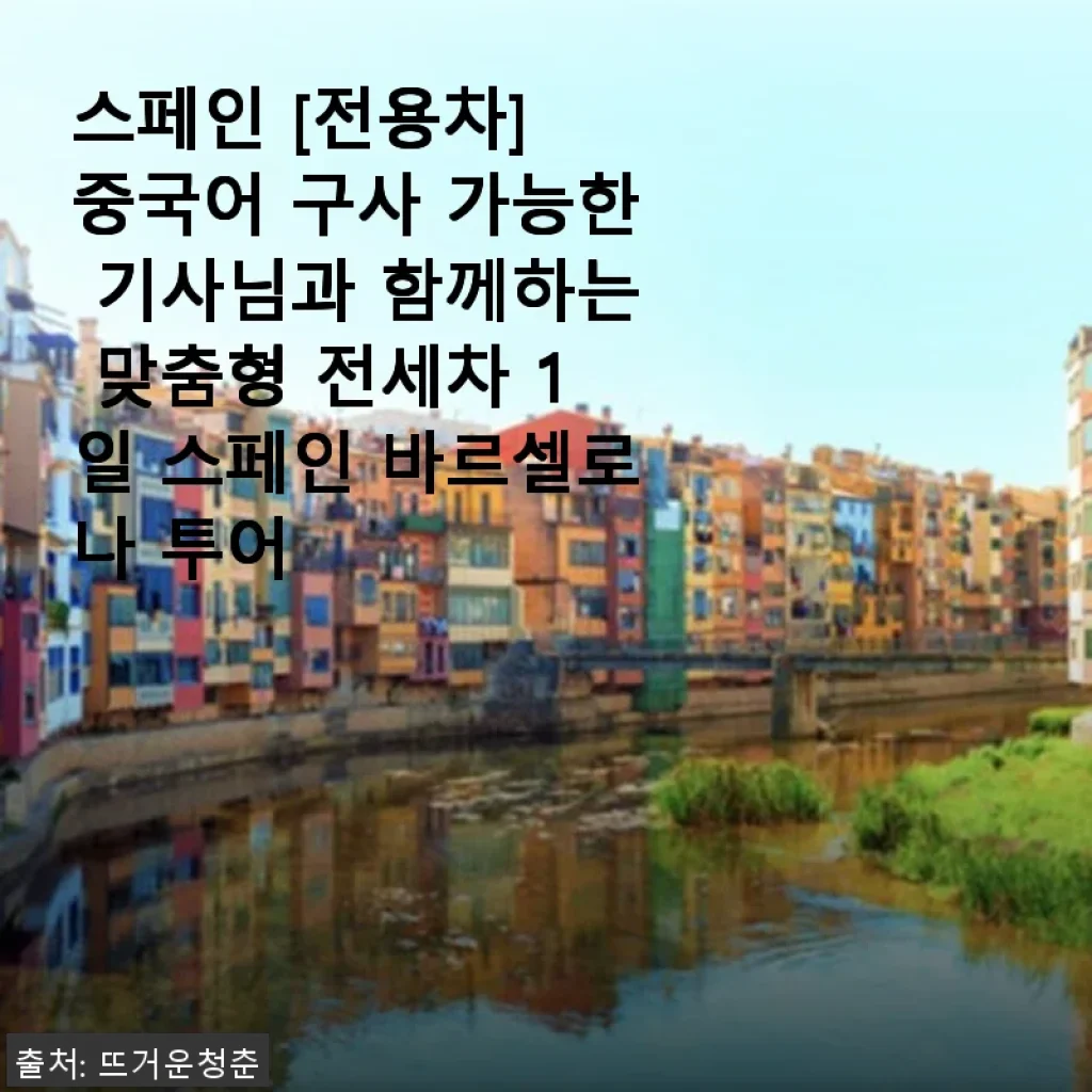 스페인 바르셀로나 전용차 투어, 중국어 가능한 기사님과 함께한 맞춤형 1일 여행 후기