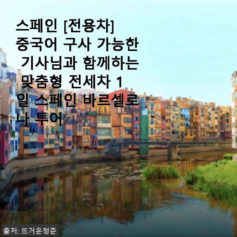 스페인 바르셀로나 전용차 투어, 중국어 가능한 기사님과 함께한 맞춤형 1일 여행 후기