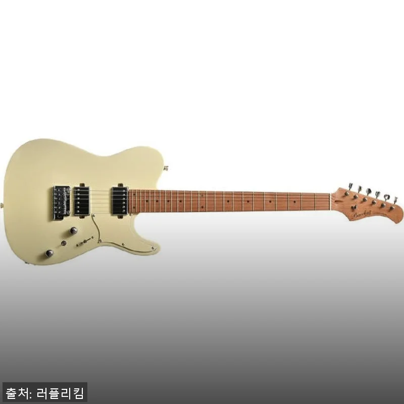 바커스 일렉트릭 기타 TAC24 Bacchus STD-RSM/M OWH 사용후기