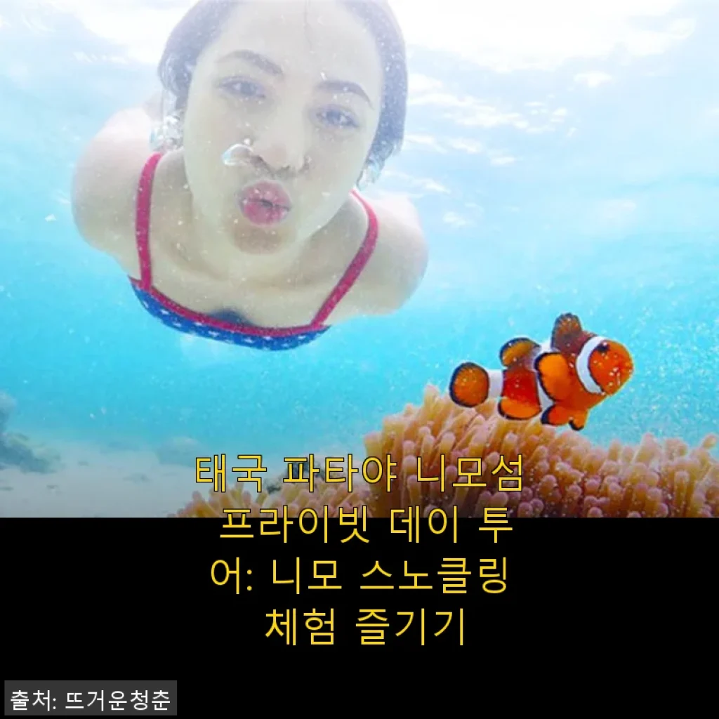 태국 파타야 니모섬 프라이빗 데이 투어 스노클링 체험 후기