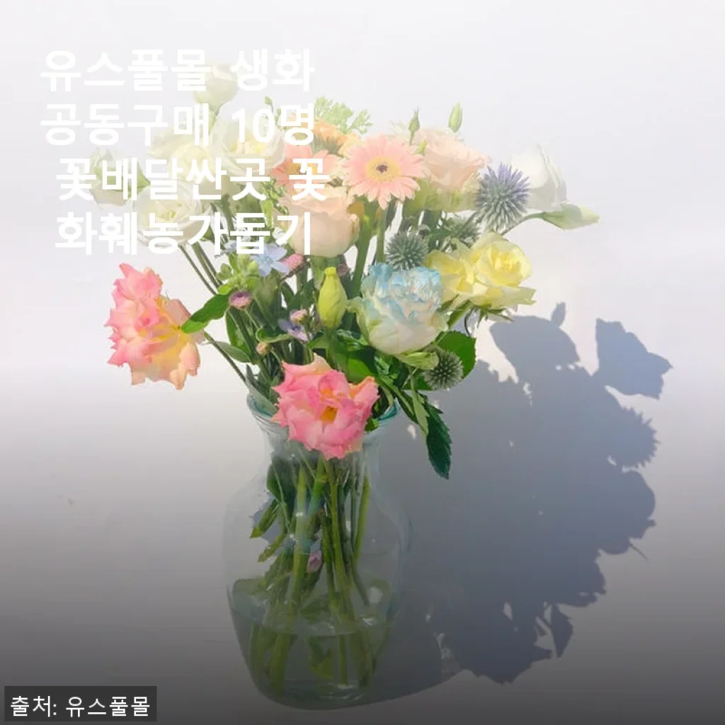 유스풀몰 생화 공동구매로 만난 신선한 꽃다발 사용후기