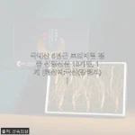 국내산 6년근 프리미엄 정품 산양산삼 10개입 사용 후기