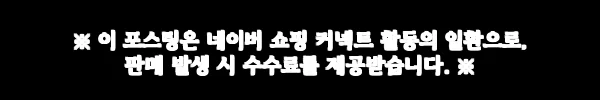 16인치노트북가방 루다제이티 캐릭터 노트북파우치, 귀여움과 손잡이를 한 번에 챙기는 선택 9 이해관계문구