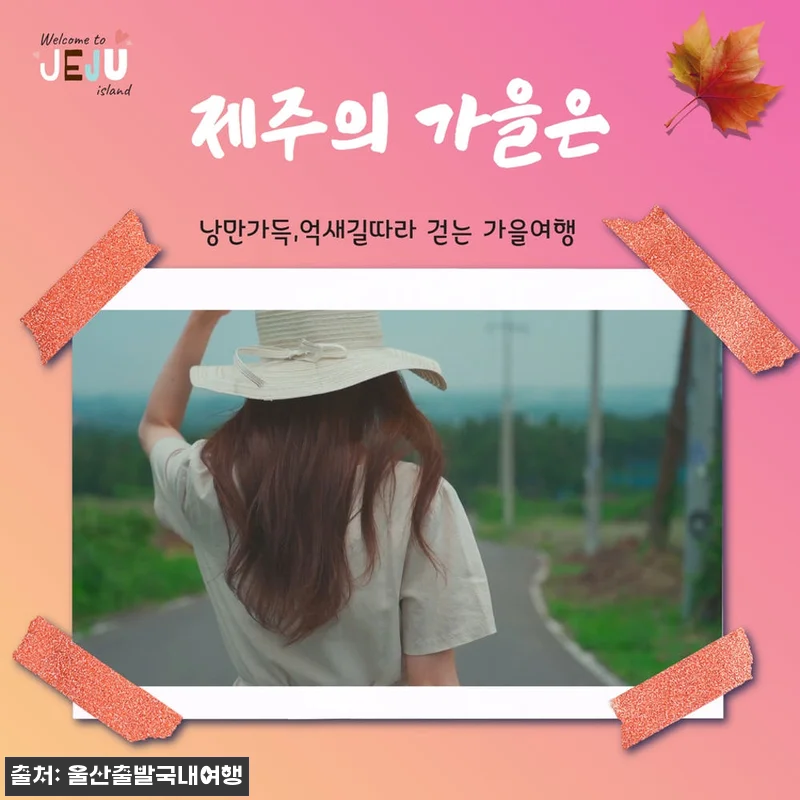 제주가을억새풀특가 꽉찬2박3일, 가을 관련 이미지 2