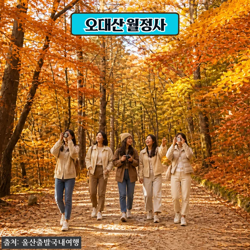 가을에 꼭 가보고 싶은 기차 1박2일 여행, 오대산 월정사 전나무숲길·발왕산 케이블카·정선레일바이크 15 가을에 꼭 가보고 싶은 기차 1박2일 관련 이미지 3