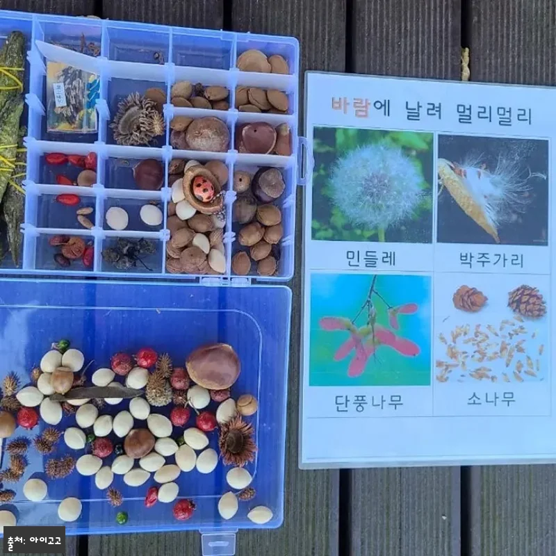 인천대공원 송도센트럴파크 어린이 할로윈 숲체험, 20% 할인 중인 가을 체험 이슈템 14 인천대공원 송도센트럴파크 어린이 할로 관련 이미지 3