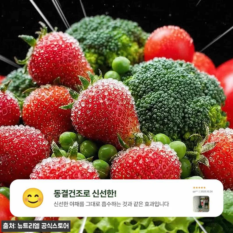 뉴트리엘 샐그린27 8개 세트, 바쁜 식단관리 때 챙기기 편한 식전야채 정제 후기 12 뉴트리엘 샐그린27 8개 세트, 바쁜 관련 이미지 5