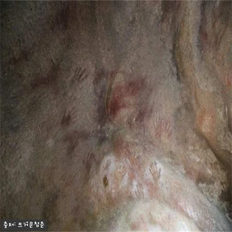 호주 웨이브 록 요크 야생화 원주민 관련 이미지 5