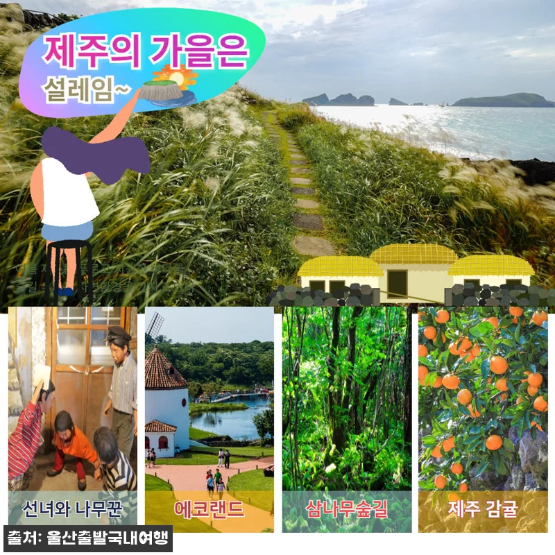제주가을억새풀특가 꽉찬2박3일, 가을 관련 이미지 5