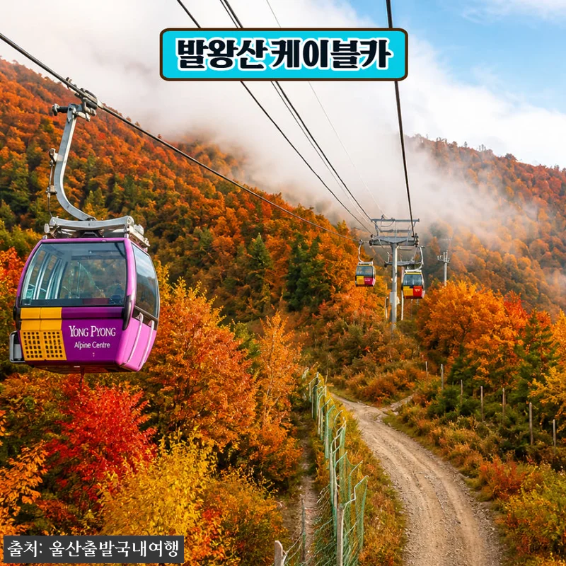 가을에 꼭 가보고 싶은 기차 1박2일 여행, 오대산 월정사 전나무숲길·발왕산 케이블카·정선레일바이크 17 가을에 꼭 가보고 싶은 기차 1박2일 관련 이미지 5